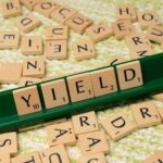 HIGH DIVIDENT PAYING STOCKS