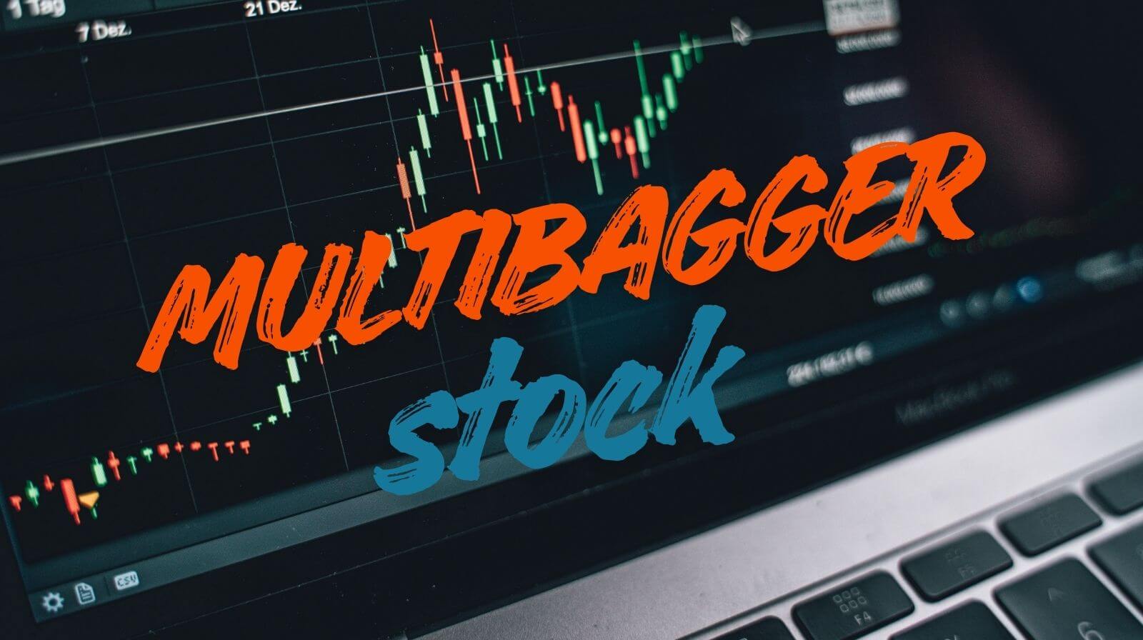 multibagger stock SME IPO